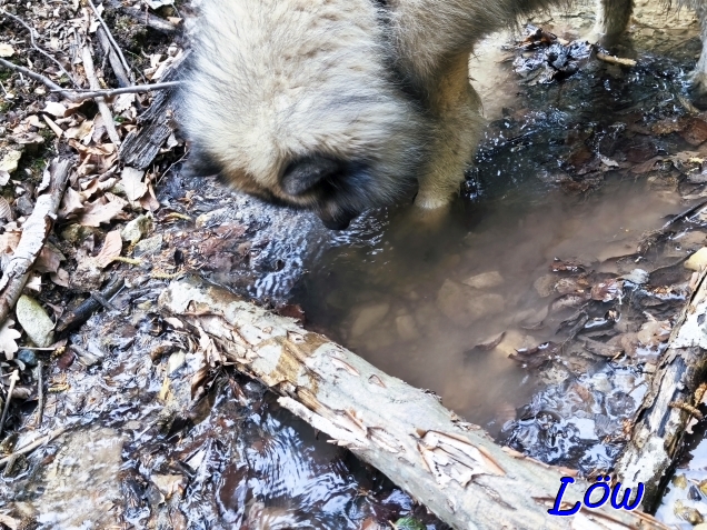 22.4.2025 - Trinkwasser?